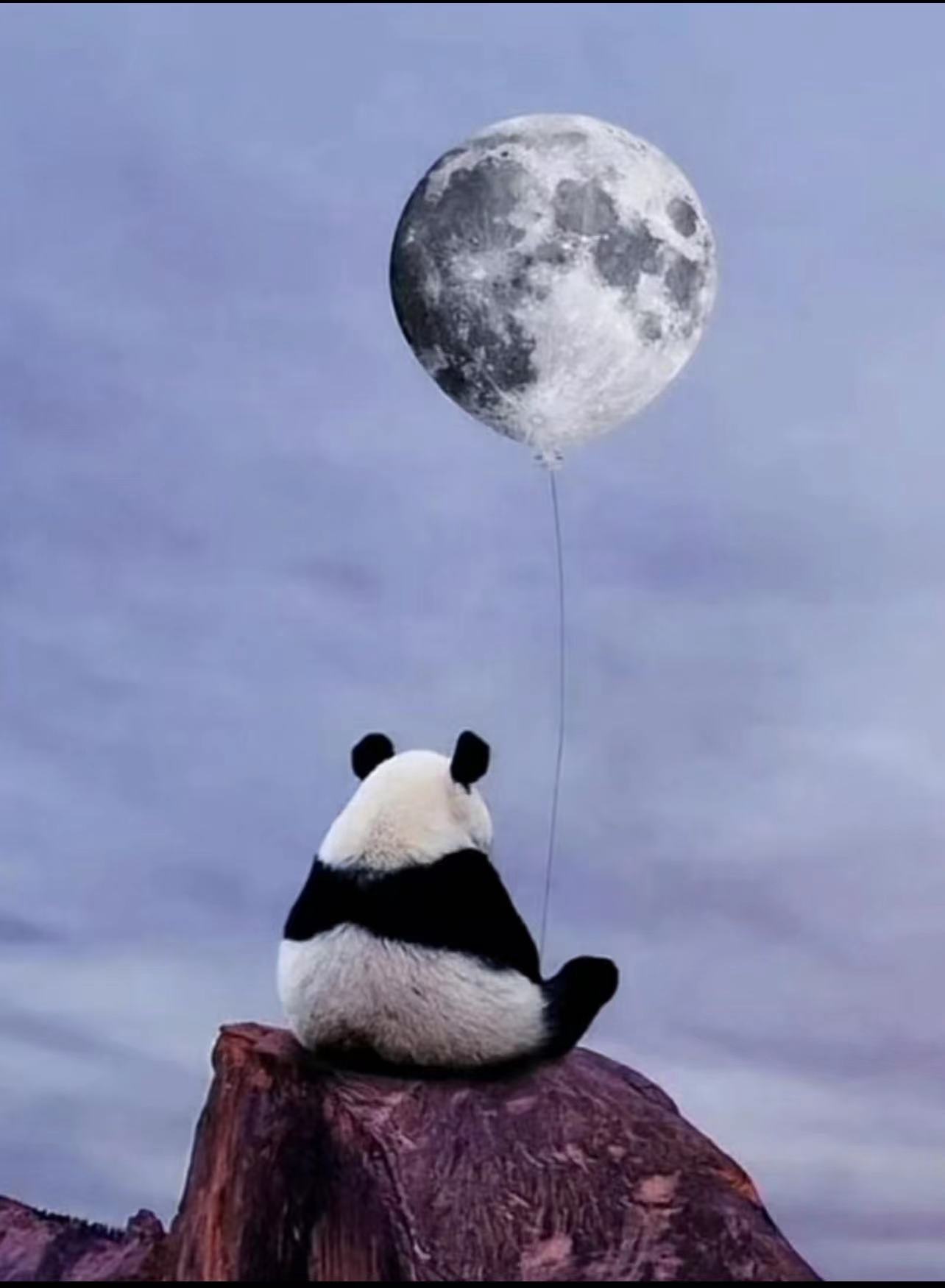 Eric  Wangpan 