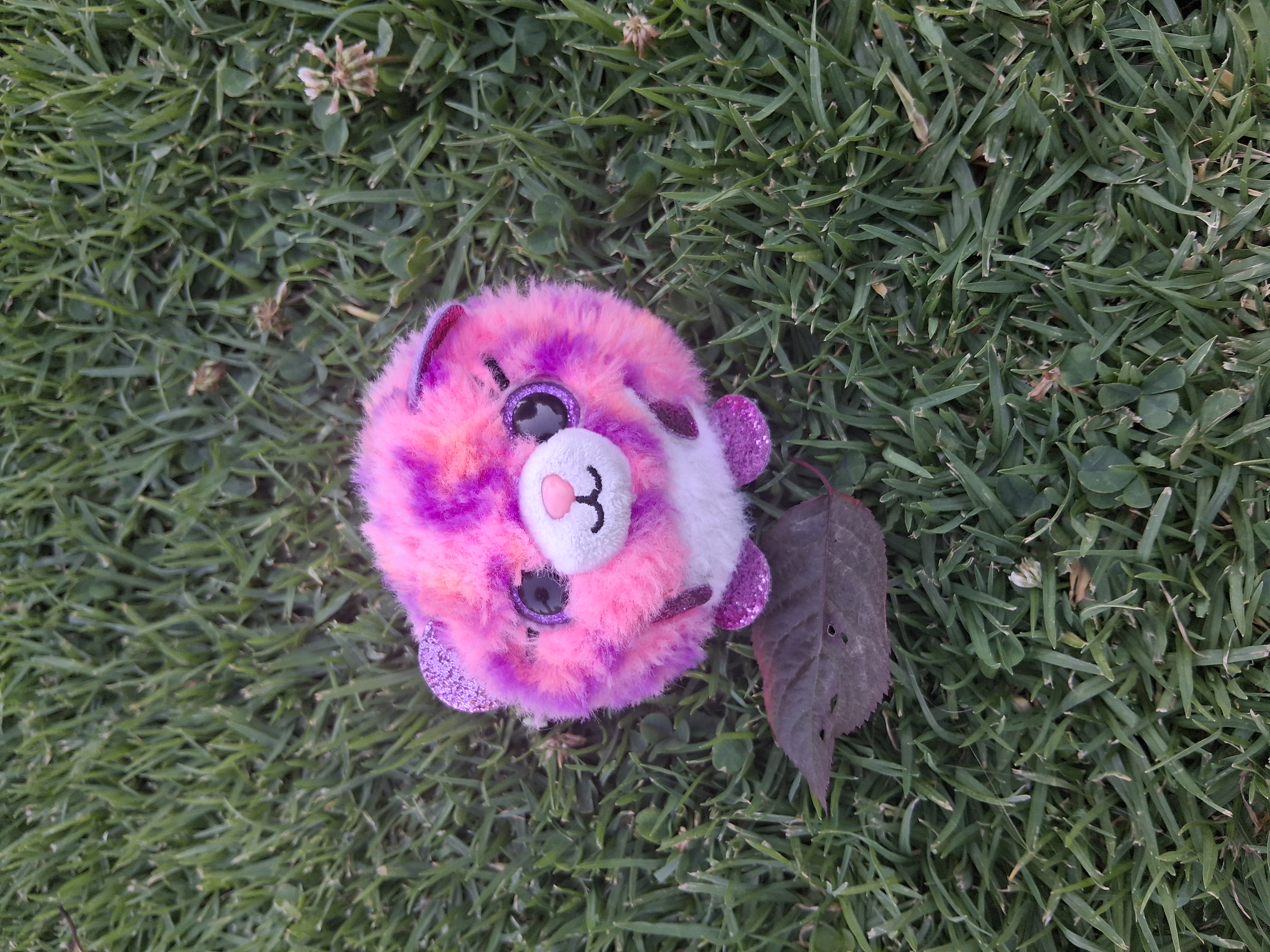 Barty---default-crop